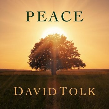 David Tolk - Peace (2020)