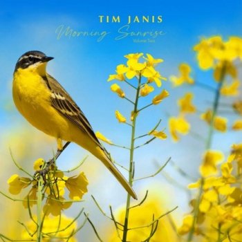 Tim Janis - Morning Sunrise, Vol. II (2021)