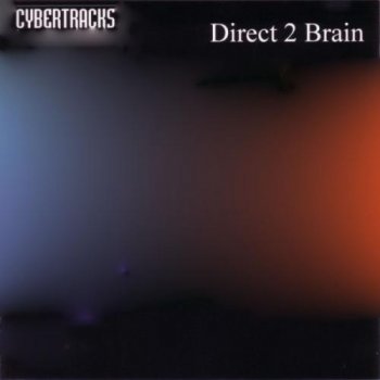 Direct 2 Brain (Riccardo Ricci) - Best Cybertracks (2009)