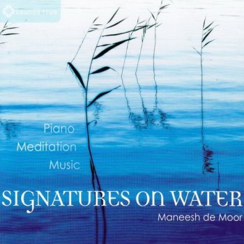 Maneesh De Moor - Signatures On Water (2011)