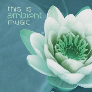 This Is Ambient Music (2011)